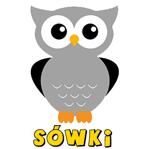 2 sowki transparent